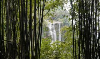 蜀南竹海农家乐